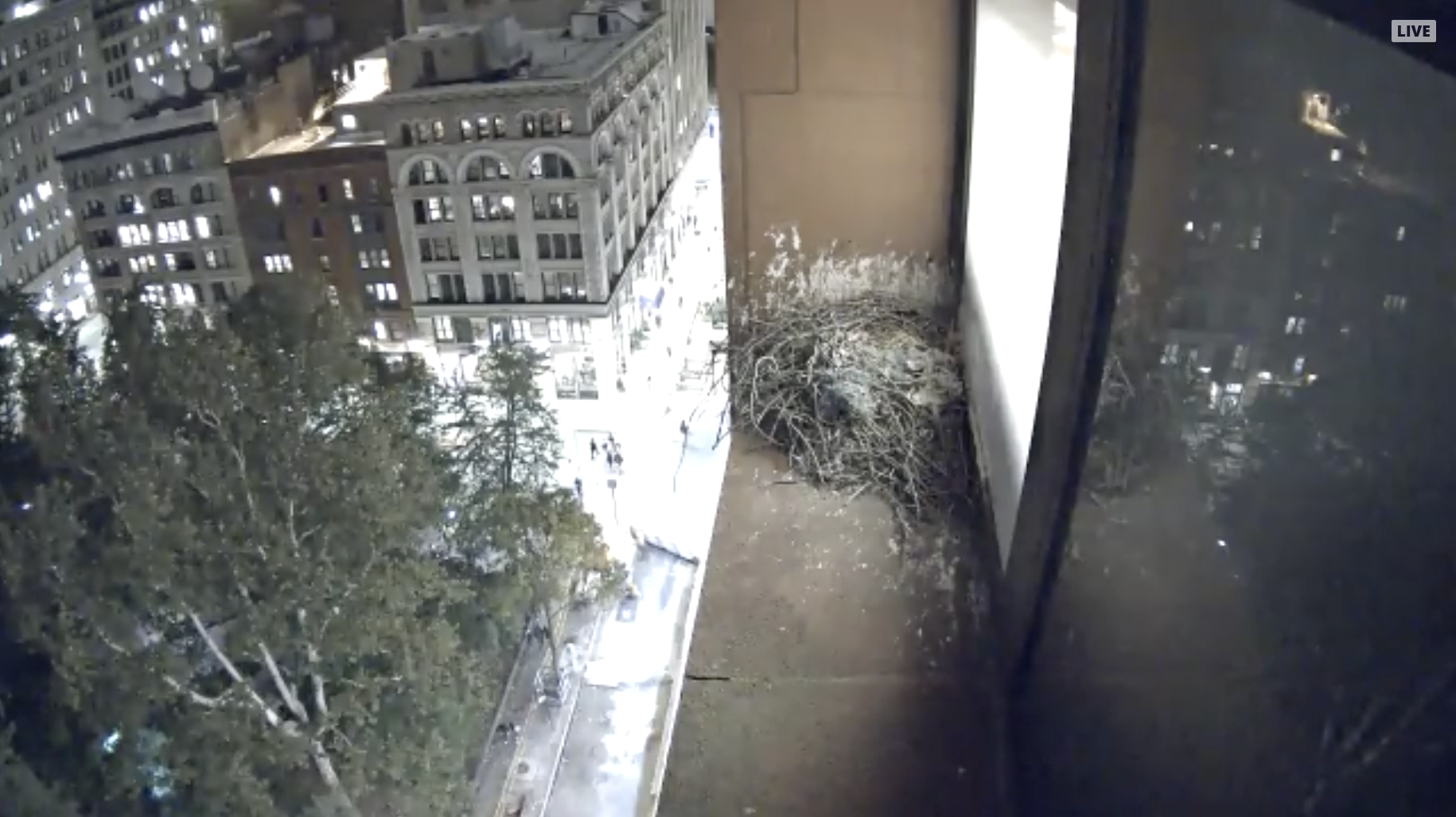 The night cam isn't on, but the nest can still be seen with the office light on.