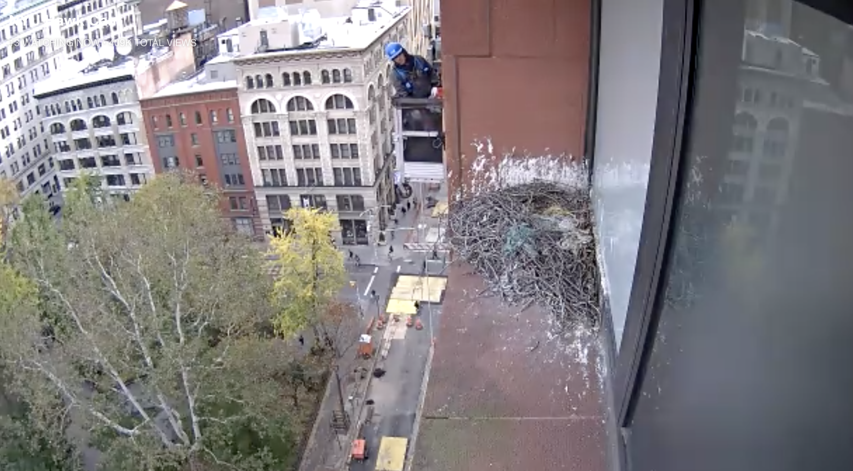A worker helping out with the Bobst Library facade inspection can be seen on the hawk cam.