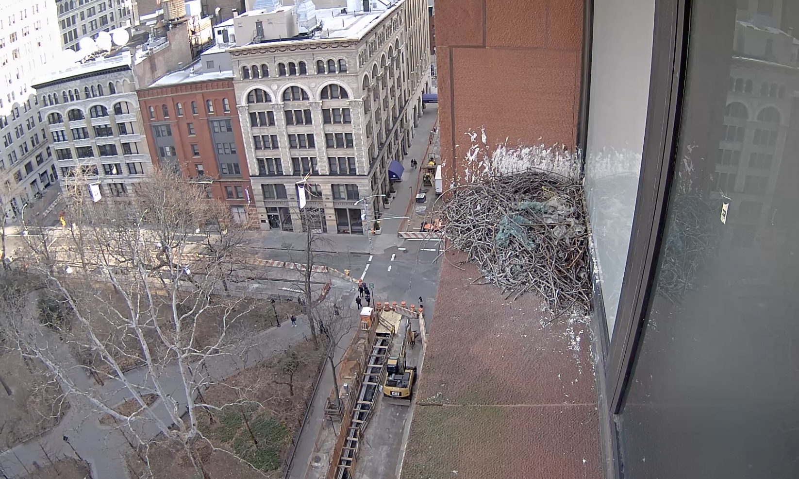 A view of the hawk cam on December 27, 2018