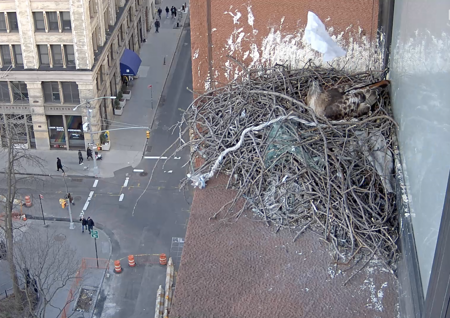 On March 16, 2019, the male watches as the wind blows the white napkin above him.