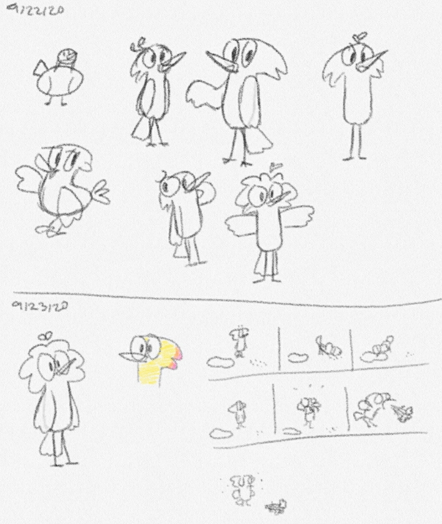 Sketches of a different bird character and a storyboard